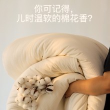 100%新疆长绒棉丨阿克苏纯棉花 棉花被棉絮棉被纯棉全棉被子被芯