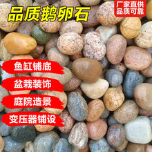 ˹Zʯ׃þ^·@쾰Zʯ늏Sʯ