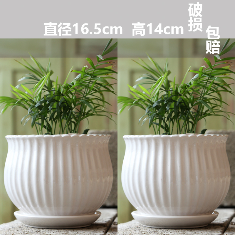 두 개의 대형 순백색 예술