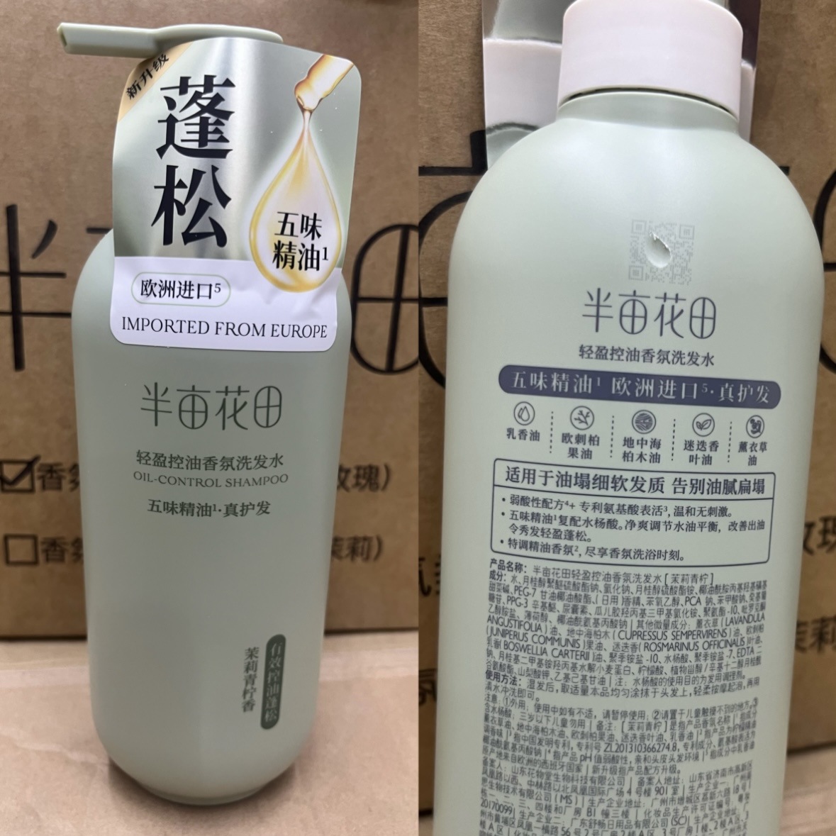 Lightweight Oil Control Fragrance Shampoo 750g