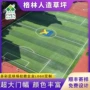 定制场地仿真人造草皮