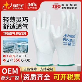 通用手套;其他手部防护;一次防护手套