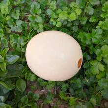 ��Ȼ�r�B��������ˇƷ������������������ͻ�ʵ�DIY��̫��