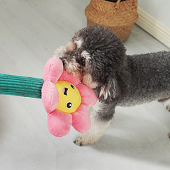 Pet Sound Making Flower Dog Training Stick for Tug-of-War, Durable for Large and Medium Dogs, Human-Dog Interaction Training Toy