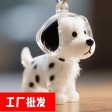 宠物毛发纪念钥匙扣猫咪狗狗毛收纳盒透明扭蛋胶囊钥匙扣包包挂件