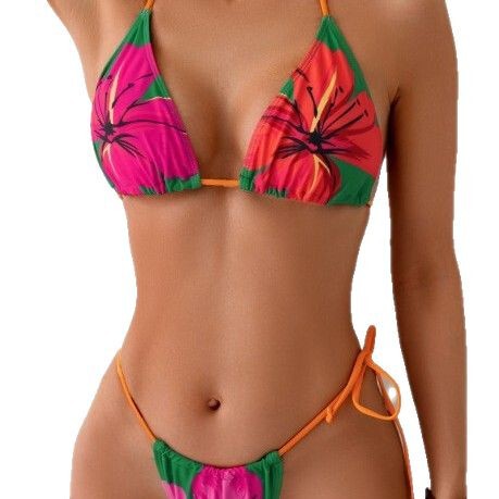 European and American Bikini Swimsuit 2025 Printed Sexy Backless Three-Piece Bikini for Women