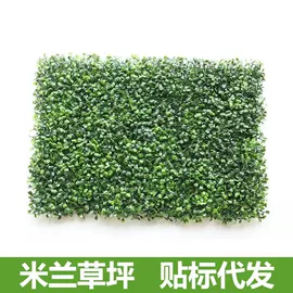 仿真花;仿真藤条;仿真绿植