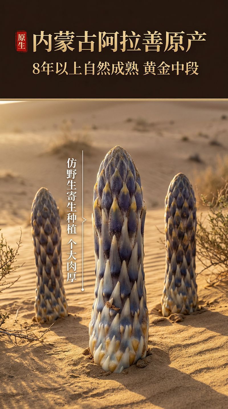 Cistanche Slices (Cistanche deserticola) — Nine-Steam-Nine-Sun Dried Food Herb, 200g specifications
