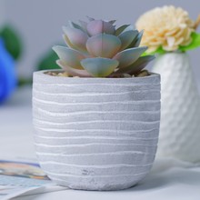 跨境仿真盆栽纸浆多肉人造盆景亚马逊新款桌面仿真植物批发假多肉