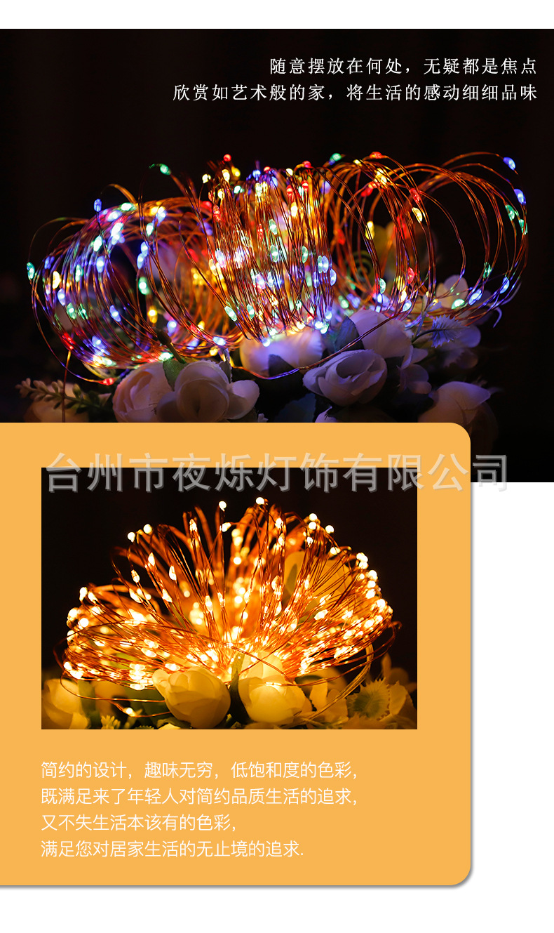 太阳能铜线灯_05.jpg