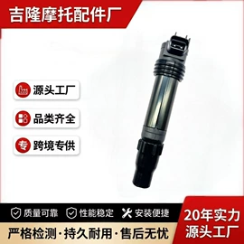 点火线圈;点火器;电子调节器