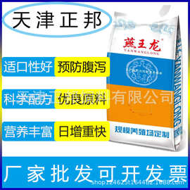 乳仔猪浓缩饲料 采食量高降低粪便臭味体型好瘦肉率高专用饲料