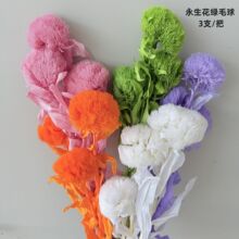 永生花绿毛球DIY手工花束真花制作花材家居装饰摆件清新自然