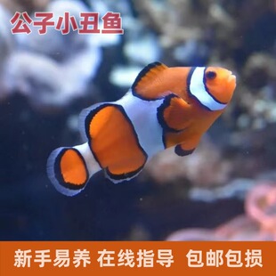 10���ϵ깫��С���~���~���������~��ˮ�^�p�~�˹�������Ī��؈