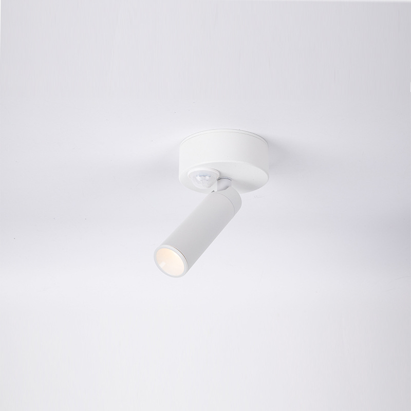 개방형 유도 스포트라이트가 집으로 들어갑니다. 인체 유도 빛은 3 도 8 도 15 도 작은 각도 빛의 빔 작은 각도를 제어합니다.