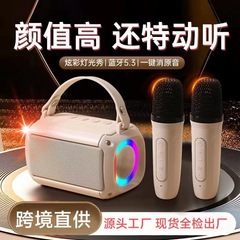 クロスボーダー爆金T33 bluetoothスピーカー無線マイク子供歌音響家庭KTV屋外便利式