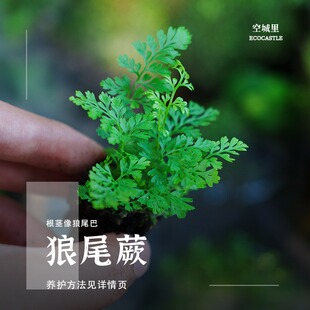 ��ˮ��ާ�ֲ��̦�\΢���^�F��ާ����ާ�y����ˮʯ�o