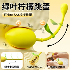 震动棒;情趣跳蛋;飞机杯
