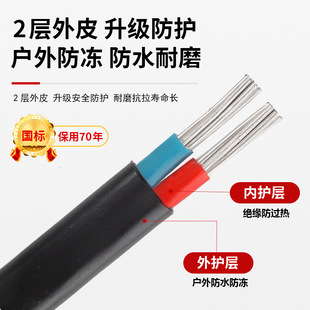 National standard 2-core aluminum core household outdoor cable wire 4 6 10 16 25 square double-core aluminum wire sheath wire