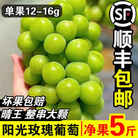 阳光玫瑰葡萄新鲜水果5斤晴王葡萄无籽香印提子青提当季整箱