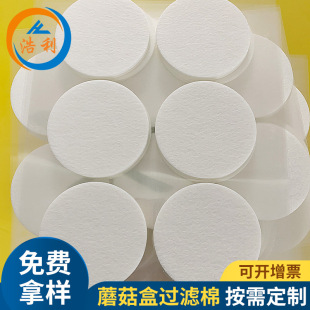 Factory Direct Sales Mushroom Box Filter Cotton Adhesive Fiber Cotton Pad Air Filter Cotton Adhesive Filter Fiber Gasket