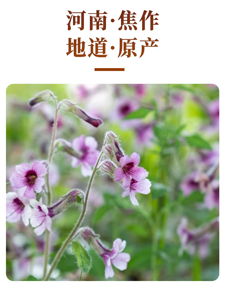 Rehmannia Root Slices (Rehmannia glutinosa) — Prepared & Raw Dried Herb, 1000g key features