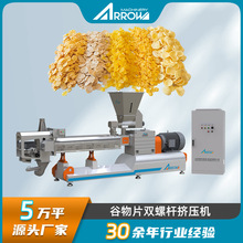 真诺智能 黄金玉米薄脆片全自动加工机械 涂糖玉米片生产线