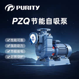 普轩特新品PZQ自吸清水离心泵直联式增压泵农用灌溉工业抽水泵