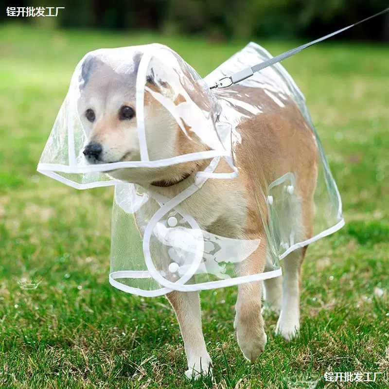 Щенки дождевик Тедди Специально для маленьких маленьких собак среднего размера Шиба Ину Прозрачное пончо Водонепроницаемая одежда Kogi для домашних животных в дождливые дни