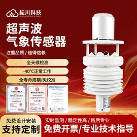 其他仪器仪表;风速风向仪;其他气象仪器