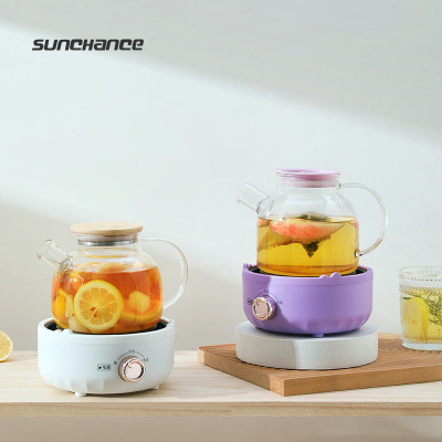家用小型养生壶宿舍办公多功能玻璃花茶壶电陶炉煮茶器礼品批发|ru