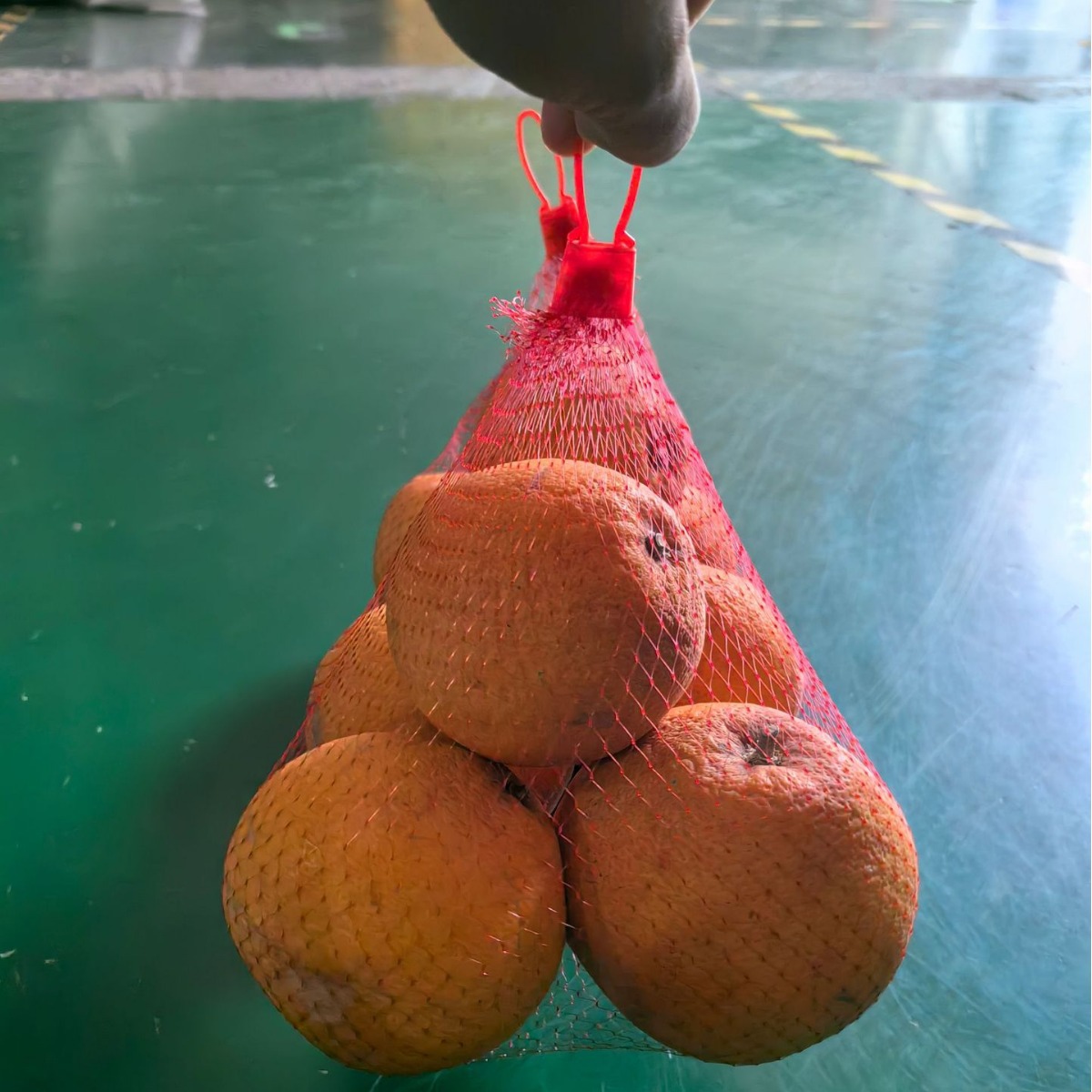 网兜装水果蔬菜加厚网袋义乌厂家直销现货供应塑料网鸡蛋大蒜网兜