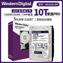 盒裝 垂直式 西數 WD101EJRP 10T 紫盤Pro 監控機械硬盤SATA 7.2K