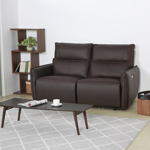 Furniture Modern Simple Small Apartment Intelligent Electric Leather Sofa
