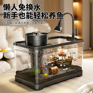 ���B��2026�¿��쾰�^�V�͏dһ�w�C�����~���쾰����������~��