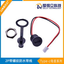 卡扣锁板USB C TYPE-C母座type-c2p母座带螺纹防水带线TYPE C母头