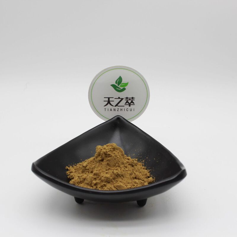 Sunflower seed extract 10:1 sunflower seed/seed extract manufacturer sunflower seed powder sunflower seed protein 1-60%