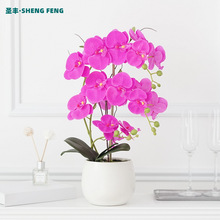 �߶˺����m�辰���滨���Կ͏d���W�ٻ����b�����ָн����Gֲ���l