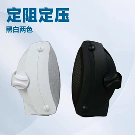 公共广播系统;其他音响设备;其他音箱