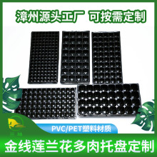 花卉包装产品托盘定制PET金线莲兰花多肉组培扦插PVC塑料育苗穴盘