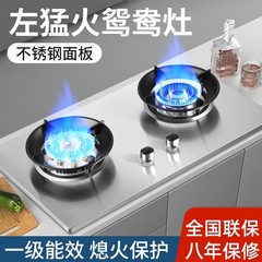 卸売り猛火大火力省エネガスレンジ家庭用ダブルコンロ組み込みステンレスガスレンジ液化ガス炉