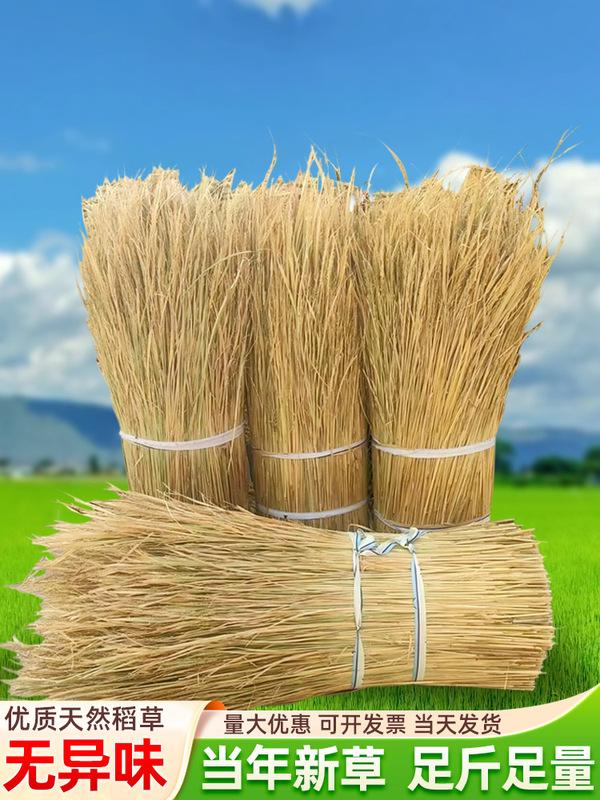 Natural Fresh Dried Straw, Straw for Thatched Houses, Straw for Tofu, Straw for Rural Homestays, Soft Woven Straw for Warmth and Decoration