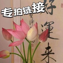 专拍链接，与图无关