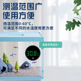 Аквариум, маленький высокоточный электронный термометр, измерение температуры