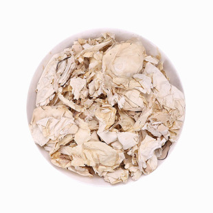 ��ș���P���� �P���� �P��͑ �u���а�Ƥ �u�Ӱ�Ƥ �u��Ĥ