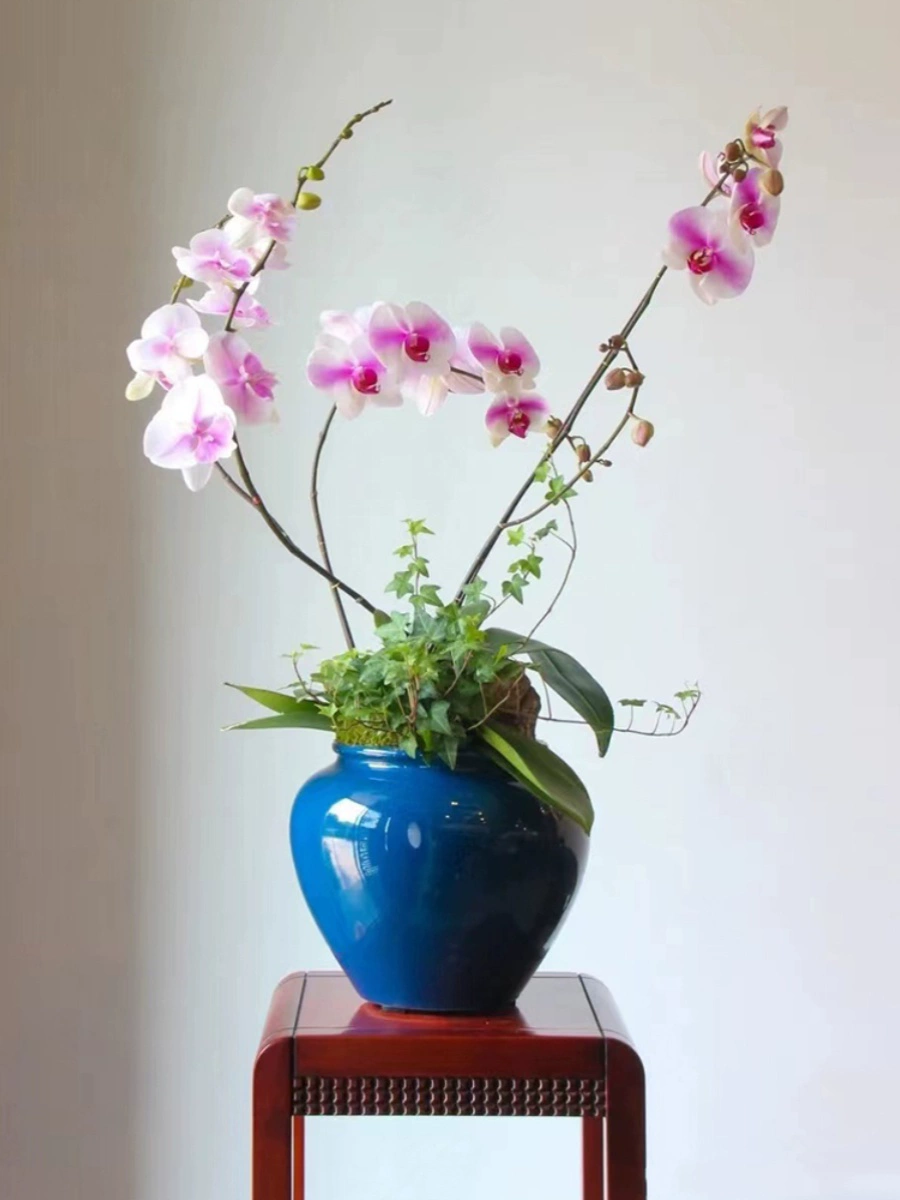 Цветочная база Jianxiang Цветочная база Прямой посев