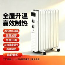 油汀取暖器家用电暖气电热器节能省电静音烤火炉恒温烘干油丁厂家