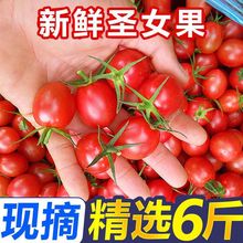 ��������}Ů��С�������Գ������t�����r�Fժˮ�����������ǧ��