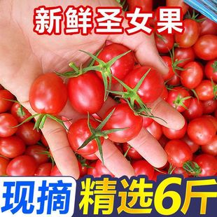 ��������}Ů��С�������Գ������t�����r�Fժˮ�����������ǧ��