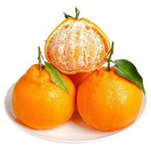 �Ĵ��ҰҸ����ڸ��ٮ���ˮ�����Ӱ��]���rˮ���ҰҸ�һ�����l